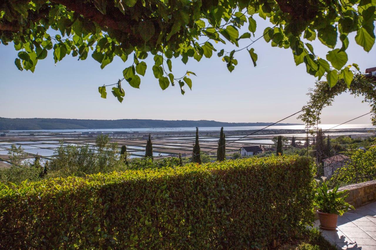 Apartment Stella Portorož Zewnętrze zdjęcie